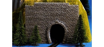 noch 34790 Entrée de tunnel , 1 voie